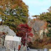 ヒメ日記 2025/11/15 15:57 投稿 まり 完熟ばなな 立川