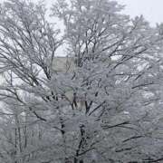 まり 完熟ばなな立川店　まり 完熟ばなな 立川