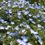 ヒメ日記 2026/04/12 17:57 投稿 まり 完熟ばなな 立川