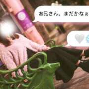 ヒメ日記 2024/12/23 11:33 投稿 サラ マドンナ(仙台)