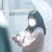 ヒメ日記 2025/01/29 14:12 投稿 サラ マドンナ(仙台)