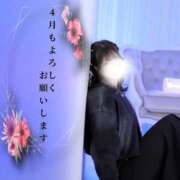 ヒメ日記 2025/04/01 10:48 投稿 サラ マドンナ(仙台)