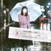 ヒメ日記 2025/11/19 06:03 投稿 サラ マドンナ(仙台)