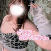 ヒメ日記 2026/01/26 12:19 投稿 サラ マドンナ(仙台)