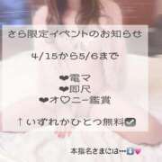 ヒメ日記 2026/04/15 08:09 投稿 サラ マドンナ(仙台)