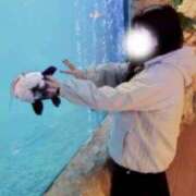 ヒメ日記 2026/04/19 20:19 投稿 サラ マドンナ(仙台)