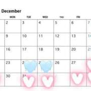 ヒメ日記 2024/12/15 19:32 投稿 いずみ ホワイトベル