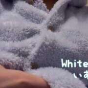 ヒメ日記 2025/02/09 10:04 投稿 いずみ ホワイトベル