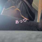 ヒメ日記 2025/03/08 12:32 投稿 いずみ ホワイトベル