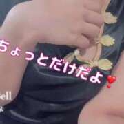 ヒメ日記 2025/03/09 10:13 投稿 いずみ ホワイトベル