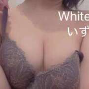 ヒメ日記 2025/06/27 10:04 投稿 いずみ ホワイトベル