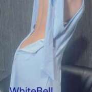 ヒメ日記 2025/07/06 16:02 投稿 いずみ ホワイトベル