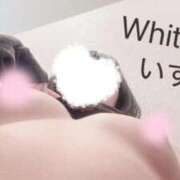 ヒメ日記 2025/10/07 09:42 投稿 いずみ ホワイトベル