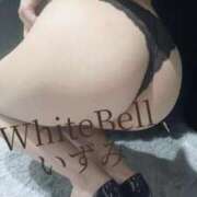ヒメ日記 2025/10/13 11:52 投稿 いずみ ホワイトベル