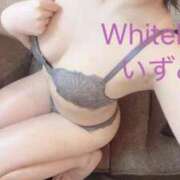 ヒメ日記 2025/12/31 12:12 投稿 いずみ ホワイトベル