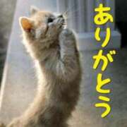 ヒメ日記 2025/08/17 13:24 投稿 本庄みおり 五十路マダム 浜松店(カサブランカグループ)