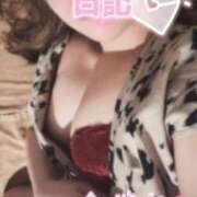 ヒメ日記 2026/03/20 19:02 投稿 なな Ace(エース)