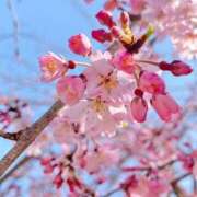 ヒメ日記 2025/03/26 13:15 投稿 湯川 静奈 CASA BIANCA（カーサ・ビアンカ）