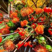 ヒメ日記 2025/11/04 21:41 投稿 湯川 静奈 CASA BIANCA（カーサ・ビアンカ）