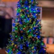 ヒメ日記 2024/12/08 18:26 投稿 山村 熟女の風俗最終章 新横浜店