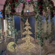 ヒメ日記 2024/12/15 06:06 投稿 山村 熟女の風俗最終章 新横浜店