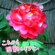 ヒメ日記 2025/01/20 09:16 投稿 山村 熟女の風俗最終章 新横浜店