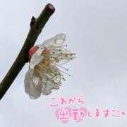 ヒメ日記 2025/02/09 09:06 投稿 山村 熟女の風俗最終章 新横浜店