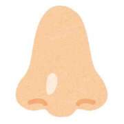 ヒメ日記 2025/02/19 06:06 投稿 山村 熟女の風俗最終章 新横浜店