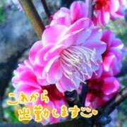 ヒメ日記 2025/03/07 09:16 投稿 山村 熟女の風俗最終章 新横浜店