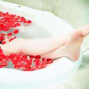 ヒメ日記 2025/04/16 10:17 投稿 山村 熟女の風俗最終章 新横浜店