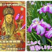 ヒメ日記 2025/05/05 12:08 投稿 山村 熟女の風俗最終章 新横浜店