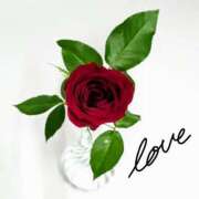 ヒメ日記 2025/05/14 00:21 投稿 山村 熟女の風俗最終章 新横浜店