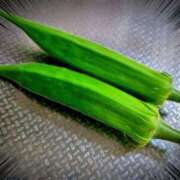 ヒメ日記 2025/05/22 09:16 投稿 山村 熟女の風俗最終章 新横浜店