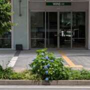 ヒメ日記 2025/05/25 12:24 投稿 山村 熟女の風俗最終章 新横浜店