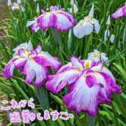 ヒメ日記 2025/05/26 09:10 投稿 山村 熟女の風俗最終章 新横浜店