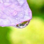 ヒメ日記 2025/06/05 06:16 投稿 山村 熟女の風俗最終章 新横浜店