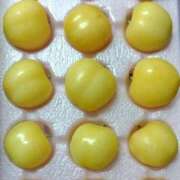 ヒメ日記 2025/06/06 00:16 投稿 山村 熟女の風俗最終章 新横浜店