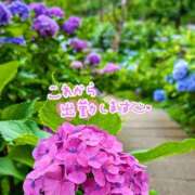 ヒメ日記 2025/06/13 09:06 投稿 山村 熟女の風俗最終章 新横浜店