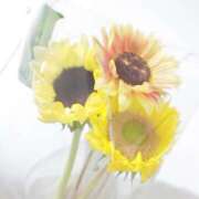 ヒメ日記 2025/07/14 00:16 投稿 山村 熟女の風俗最終章 新横浜店