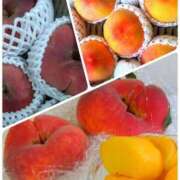 ヒメ日記 2025/07/19 00:16 投稿 山村 熟女の風俗最終章 新横浜店