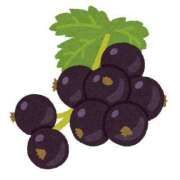 ヒメ日記 2025/07/23 00:06 投稿 山村 熟女の風俗最終章 新横浜店