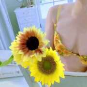 ヒメ日記 2025/08/03 12:16 投稿 山村 熟女の風俗最終章 新横浜店