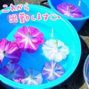 ヒメ日記 2025/08/06 17:06 投稿 山村 熟女の風俗最終章 新横浜店