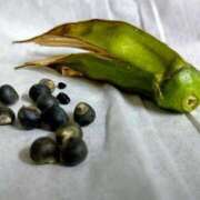 ヒメ日記 2025/08/07 00:06 投稿 山村 熟女の風俗最終章 新横浜店