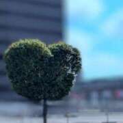 ヒメ日記 2025/08/17 13:36 投稿 山村 熟女の風俗最終章 新横浜店