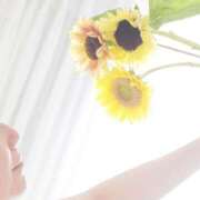 ヒメ日記 2025/08/17 15:17 投稿 山村 熟女の風俗最終章 新横浜店