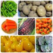 ヒメ日記 2025/08/31 00:16 投稿 山村 熟女の風俗最終章 新横浜店