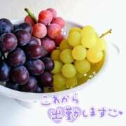 ヒメ日記 2025/09/09 09:19 投稿 山村 熟女の風俗最終章 新横浜店