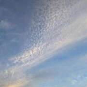 ヒメ日記 2025/09/19 03:16 投稿 山村 熟女の風俗最終章 新横浜店