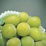 ヒメ日記 2025/09/26 15:16 投稿 山村 熟女の風俗最終章 新横浜店